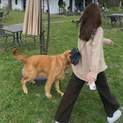 古窑迷踪